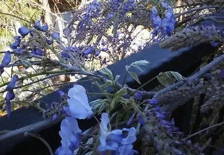 Jenny's House Ξενοδοχείο Σελιμιγιέ