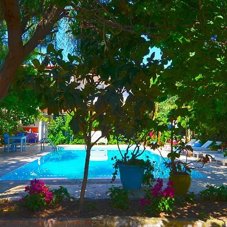 Jenny's House 酒店 塞利米耶