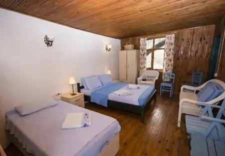 Jenny's House 塞利米耶