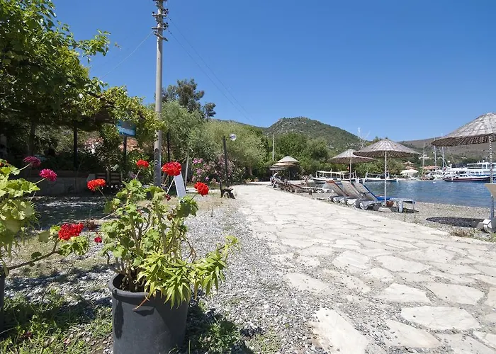 Jenny's House מלון 3*