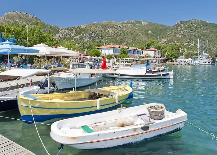 מלון Jenny's House