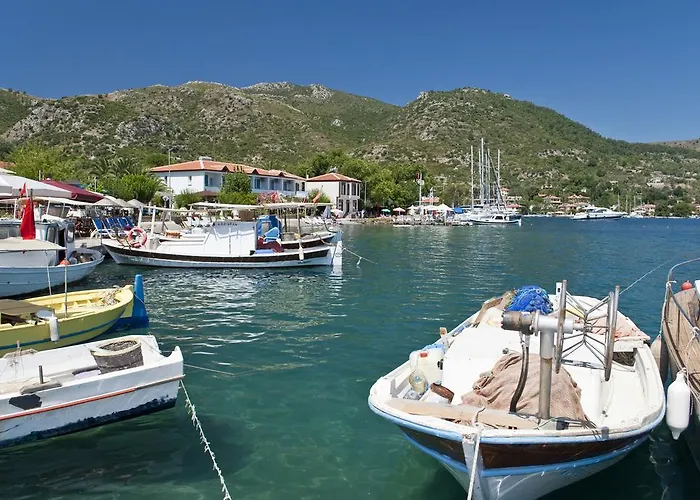 Jenny's House סלימייה