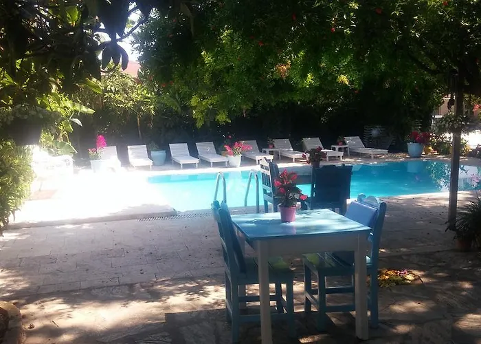 Jenny's House מלון