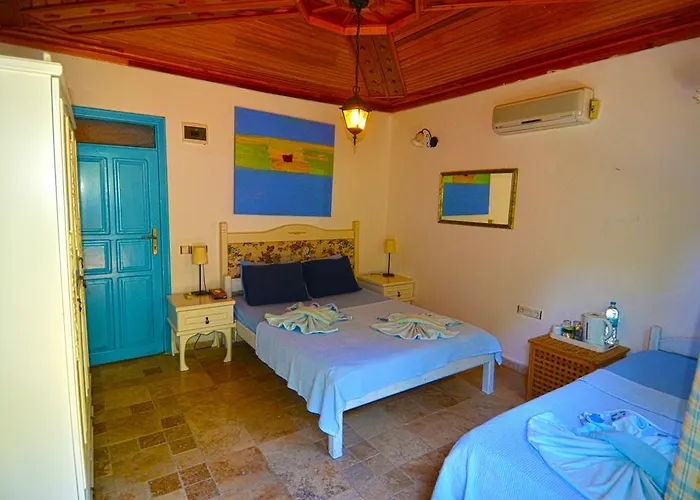 Jenny's House מלון