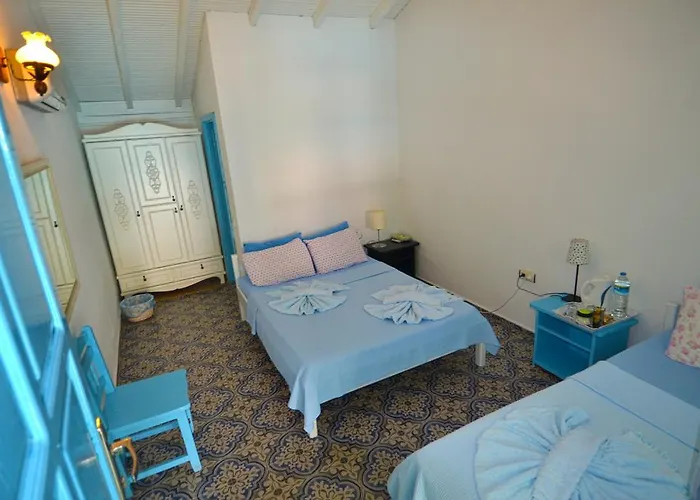 Jenny's House מלון 3*