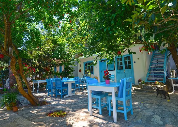 מלון Jenny's House סלימייה