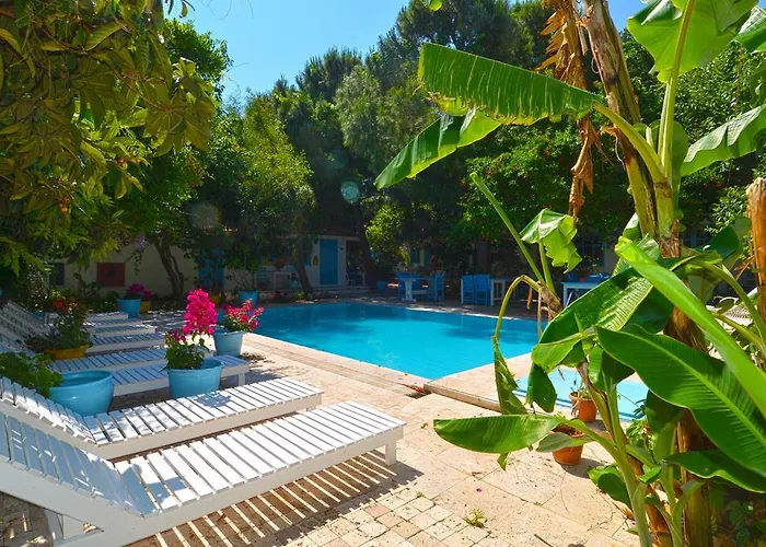 Jenny's House מלון