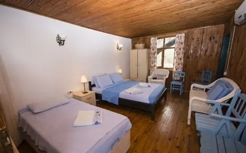 Jenny's House סלימייה